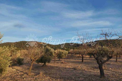 Grond in Biar, Alicante, Biar - € 65.000 | Ref: SF0442 - foto 10